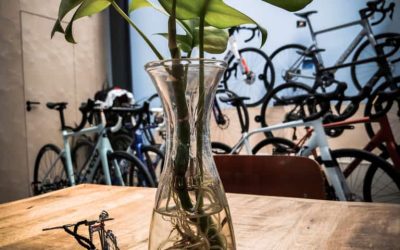 Fietslokaal De Meet in Deventer – wielercafes.nl (81) Fietslokaal De Meet in Deventer - wielercafes.nl